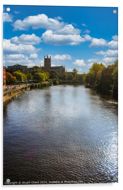 Worcester Cathedral on the River severn Acrylic by Stuart Chard
