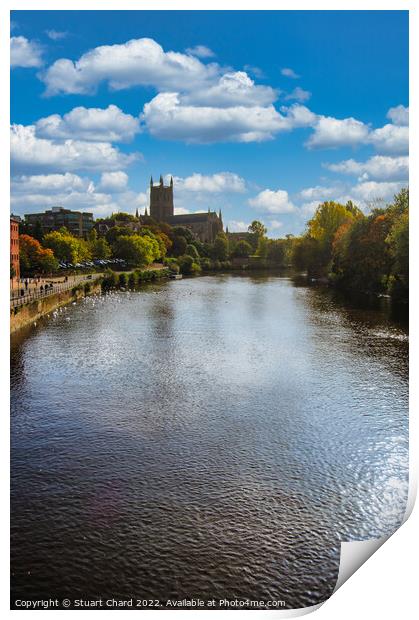 Worcester Cathedral on the River severn Print by Stuart Chard
