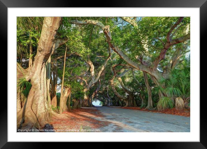 Banyan Street Framed Mounted Print by Donna Kennedy
