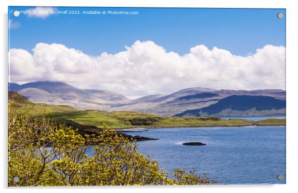 View across Loch Tuath Isle of Mull Acrylic by Pearl Bucknall