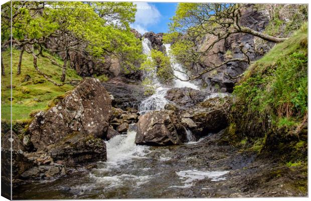 Eas Fors Waterfall Mull Scotland Canvas Print by Pearl Bucknall