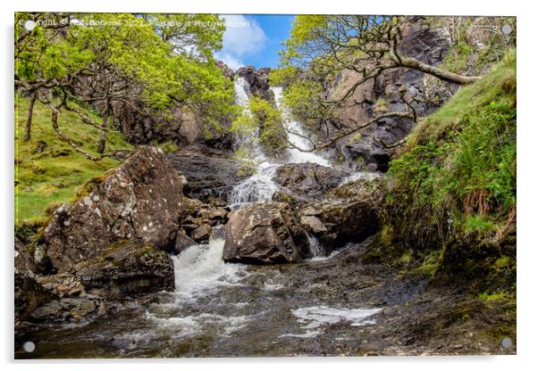 Eas Fors Waterfall Mull Scotland Acrylic by Pearl Bucknall