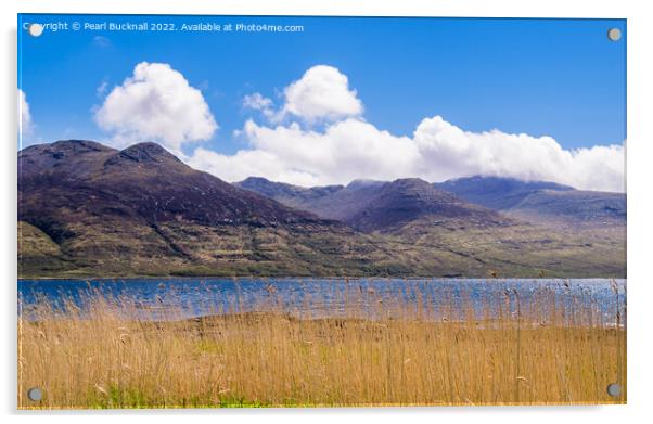 Loch Na Keal Isle of Mull Scotland Acrylic by Pearl Bucknall