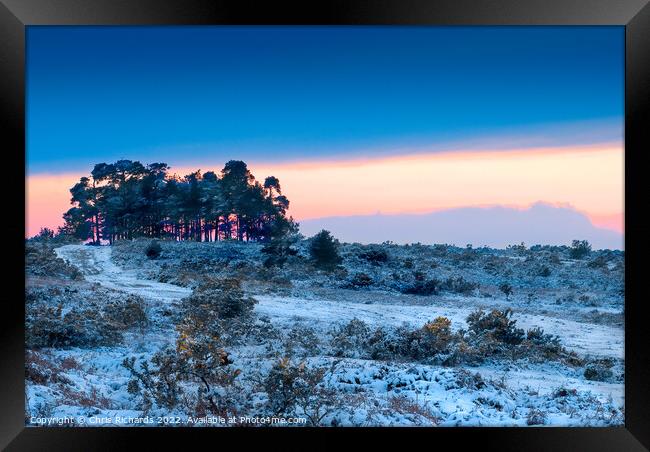 Camphill Clump Sunset in the Snow Framed Print by Chris Richards