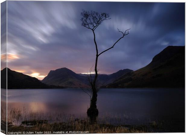 The Lone Tree, Buttermere Canvas Print by Jules Taylor