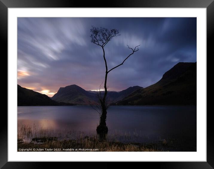 The Lone Tree, Buttermere Framed Mounted Print by Jules Taylor