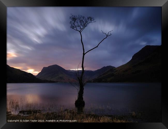 The Lone Tree, Buttermere Framed Print by Jules Taylor