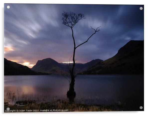 The Lone Tree, Buttermere Acrylic by Jules Taylor
