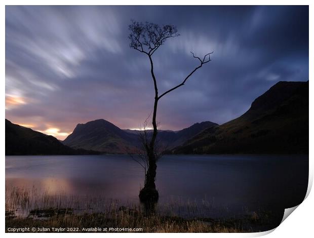 The Lone Tree, Buttermere Print by Jules Taylor
