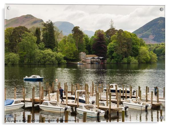 Serenity at Derwentwater Acrylic by Martin Day