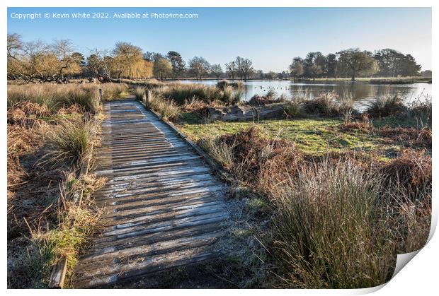 Frosty boardwalk Print by Kevin White