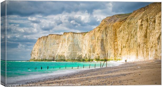 Newhaven West Beach, East Sussex Canvas Print by Chris Richards