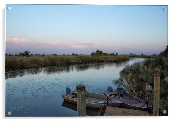 Okavango River Tributary in the Okavango Delta Acrylic by Belinda Greb
