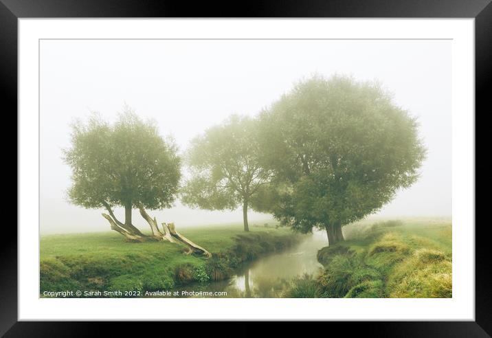 Beverley Brook in the Mist Framed Mounted Print by Sarah Smith