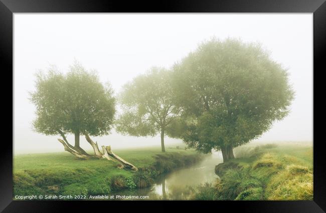 Beverley Brook in the Mist Framed Print by Sarah Smith