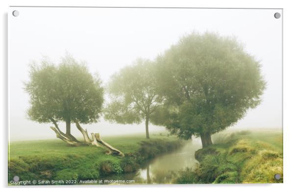 Beverley Brook in the Mist Acrylic by Sarah Smith
