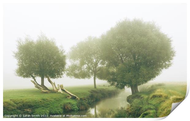 Beverley Brook in the Mist Print by Sarah Smith