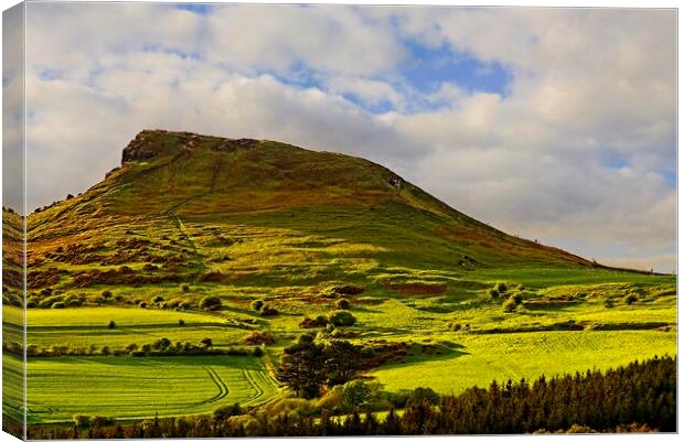 Roseberry Topping North Yorkshire Canvas Print by Martyn Arnold