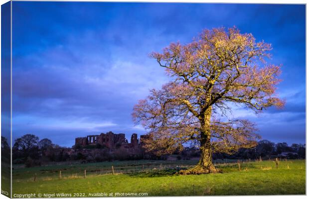 Oak Tree, Kenilworth Castle Canvas Print by Nigel Wilkins