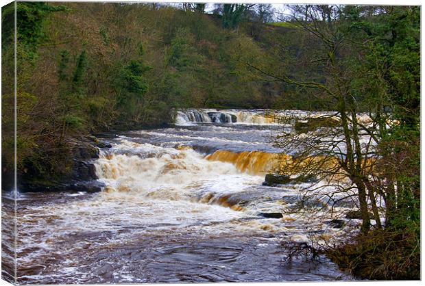 Aysgarth Falls Canvas Print by Trevor Kersley RIP