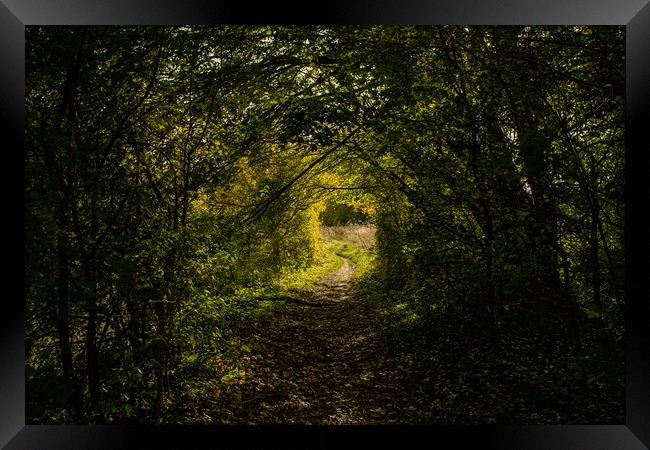 A natural tunnel in the forest in Oxfordshire, England Framed Print by Eszter Imrene Virt