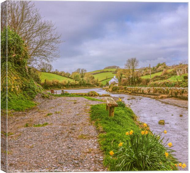 South Pool at Springtime  Canvas Print by Ian Stone