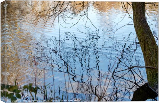 Ripples on a local lake with a Tree trunk Canvas Print by Pamela Reynolds