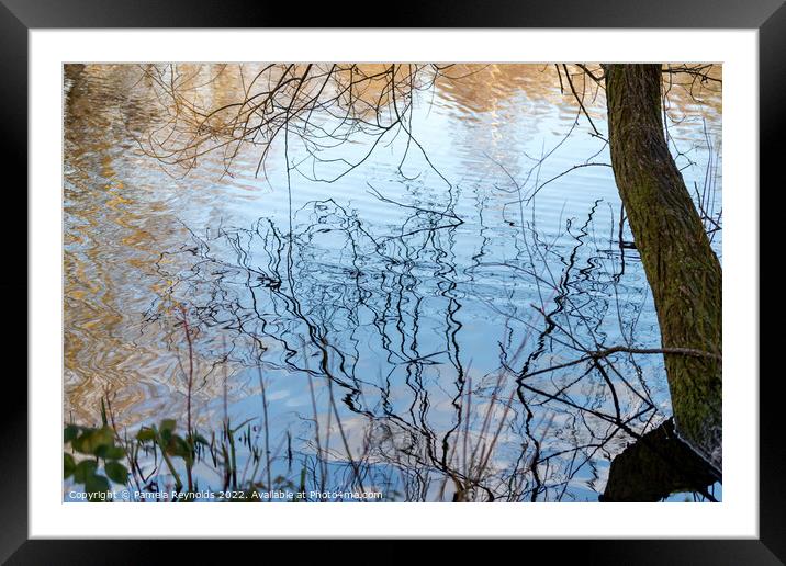 Ripples on a local lake with a Tree trunk Framed Mounted Print by Pamela Reynolds