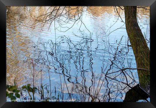Ripples on a local lake with a Tree trunk Framed Print by Pamela Reynolds