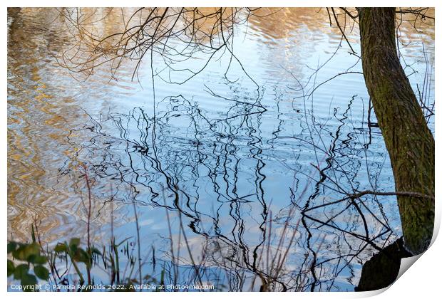 Ripples on a local lake with a Tree trunk Print by Pamela Reynolds