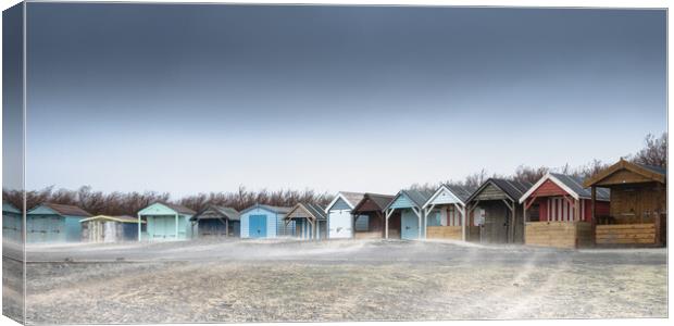 Sandstorm, West Wittering Canvas Print by Mark Jones