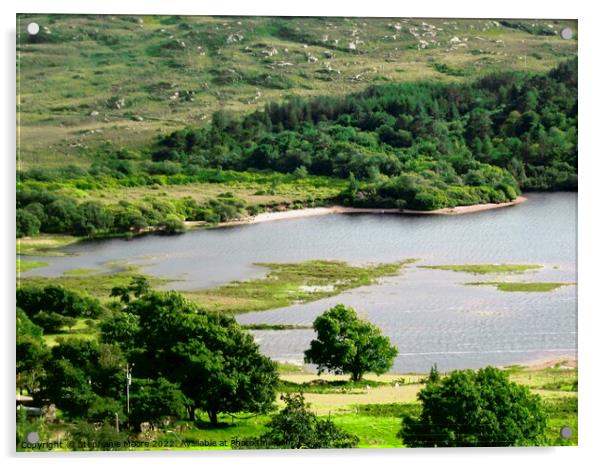 Loch in Sligo, Ireland Acrylic by Stephanie Moore