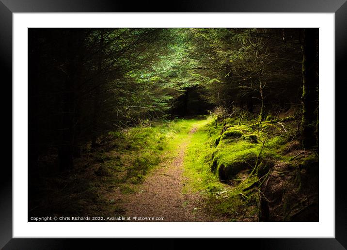 Pen Arthur Forest Trail Framed Mounted Print by Chris Richards