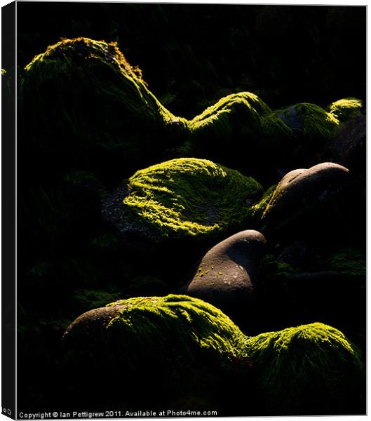 Rock waves of light Canvas Print by Ian Pettigrew