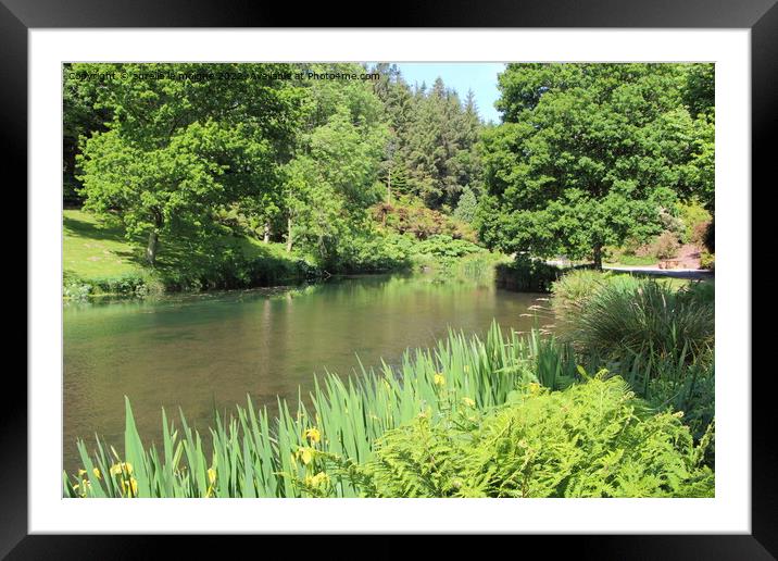 Pond in a park Framed Mounted Print by aurélie le moigne