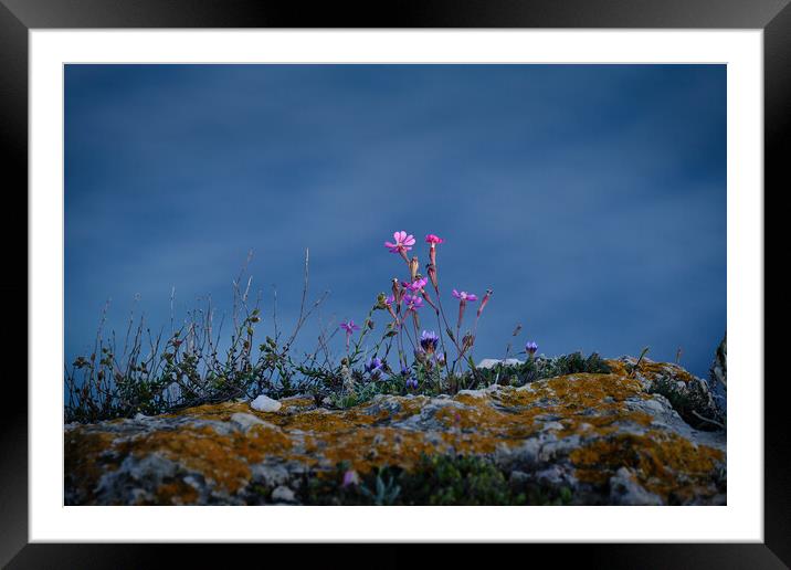 Beauty at the edge Framed Mounted Print by Dimitrios Paterakis