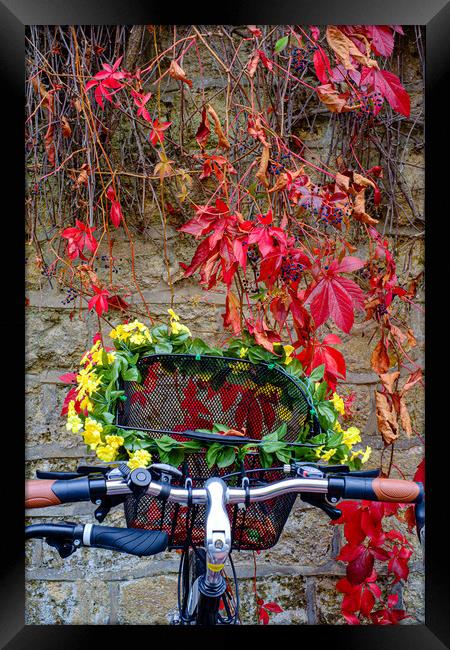 Bicycle Basket Framed Print by Gerry Walden LRPS