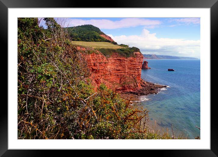 Ladram Bay Jurassic Coast Devon England Framed Mounted Print by Andy Evans Photos