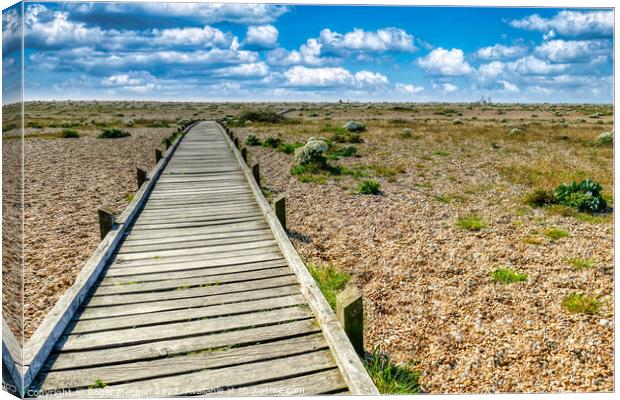 A Serene Path to the Sea Canvas Print by Roger Mechan