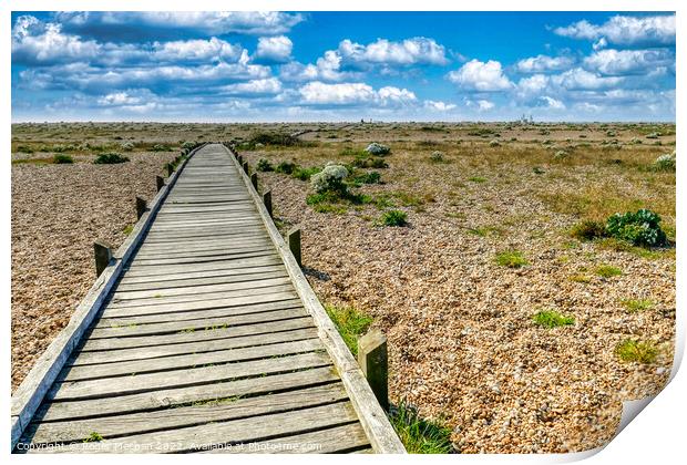 A Serene Path to the Sea Print by Roger Mechan