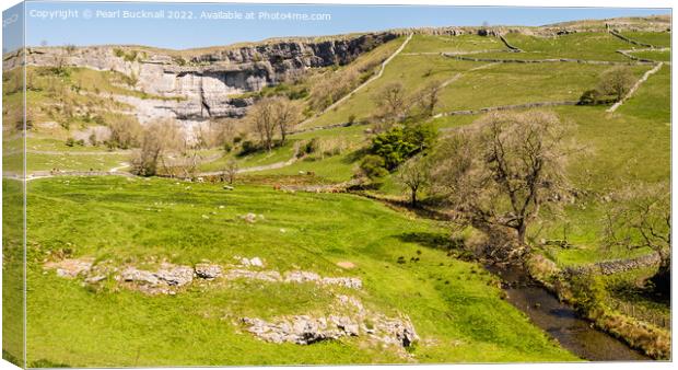 Malham Cove and Malham Beck Yorkshire Dales Nation Canvas Print by Pearl Bucknall