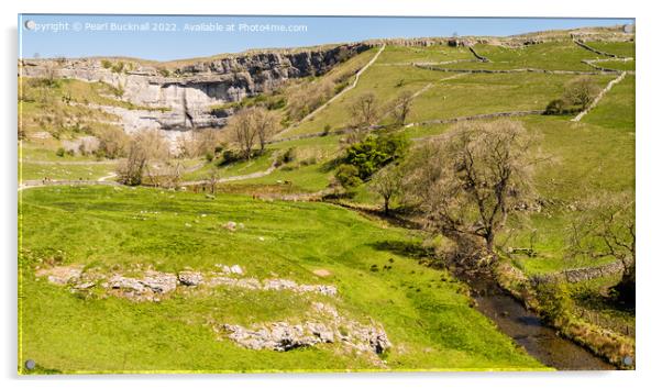 Malham Cove and Malham Beck Yorkshire Dales Nation Acrylic by Pearl Bucknall