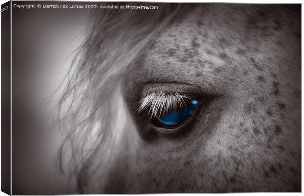 Horse portrait Canvas Print by Derrick Fox Lomax