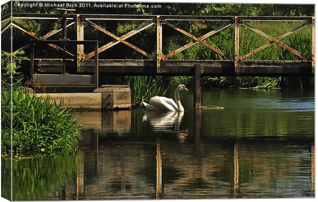 Swan Reflections Canvas Print by Michael Rich