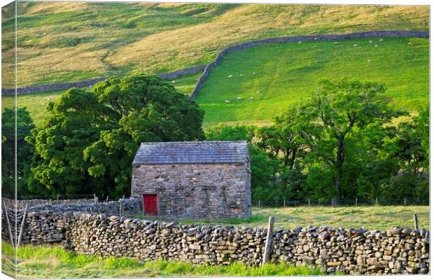 Swaledale Landscape, Yorkshire Dales Canvas Print by Martyn Arnold