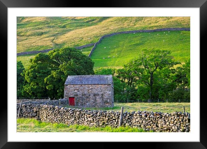 Swaledale Landscape, Yorkshire Dales Framed Mounted Print by Martyn Arnold