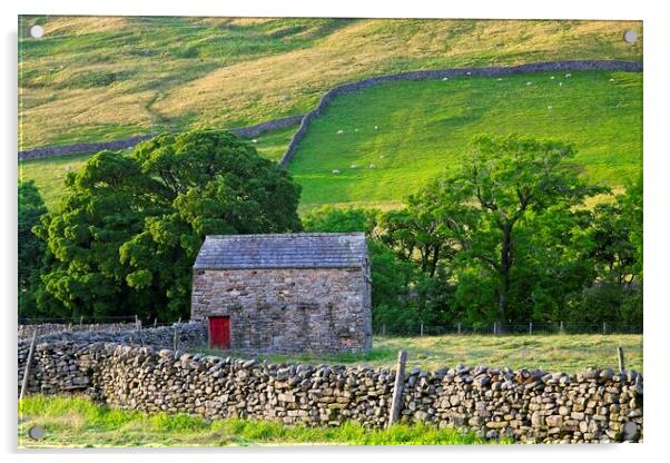 Swaledale Landscape, Yorkshire Dales Acrylic by Martyn Arnold