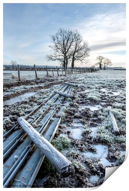 Frosty morning scene  Print by Martin Williams