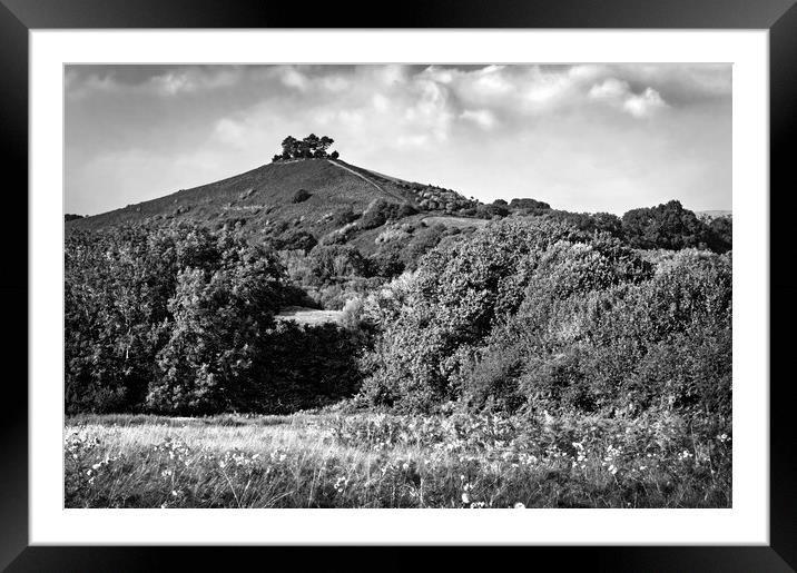 Colmers Hill Framed Mounted Print by Darren Galpin