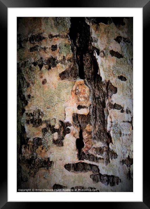 Abstract Lichen and Tree Bark Design Framed Mounted Print by Errol D'Souza